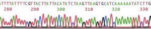PhasePrep� BAC DNA Kit NA0100-1KT