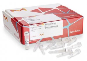 GenElute�-E Organic Solvent DNA Cleanup Kit 