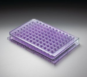 MultiScreen-PCR�96 Filter Plate 