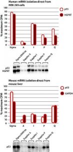 GenElute� Direct mRNA Miniprep Kits DMN70-1KT