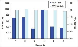 GenElute� Single Cell RNA Purification Kit RNB300-50RXN