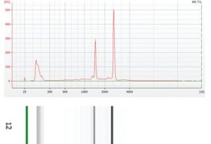GenElute� Total RNA Purification Maxi Kit RNB200-8RXN