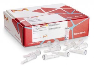 GenElute�-E Single Spin RNA Cleanup Kit 