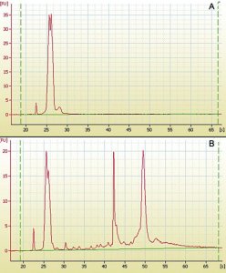 mirPremier� microRNA Isolation Kit SNC10-1KT