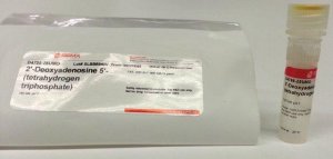 2-Deoxyadenosine 5-triphosphate sodium salt solution 