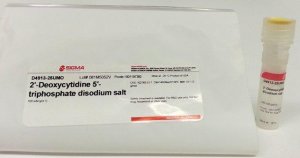2-Deoxycytidine 5-triphosphate disodium salt 
