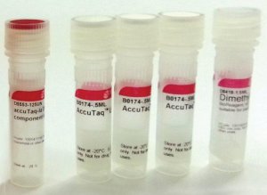 AccuTaq� LA DNA Polymerase 