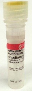 Adenosine 5-triphosphate disodium salt solution 