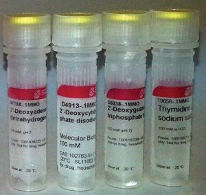 Deoxynucleotide Set, 100 mM DNTP100A-1KT
