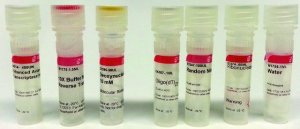 Enhanced Avian HS RT-PCR Kit HSRT100-1KT