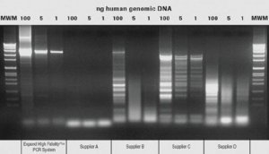 Expand� High FidelityPLUS PCR System 
