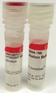 JumpStart� Taq Antibody 