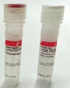 JumpStart� Taq DNA Polymerase 