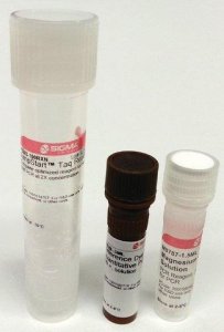 JumpStart� Taq ReadyMix� for Quantitative PCR 