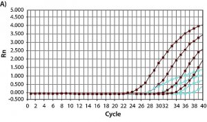 JumpStart� Taq ReadyMix� for Quantitative PCR 