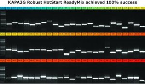 KAPA2G Robust HotStart PCR Kit 