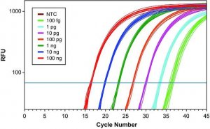 KiCqStart� One-Step Probe RT-qPCR ReadyMix�, ROX� 