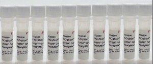 KiCqStart� SYBR� Green qPCR ReadyMix� 