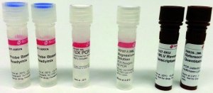 Quantitative RT-PCR ReadyMix� QR0200-1KT