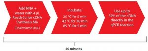 ReadyScript� cDNA Synthesis Mix 