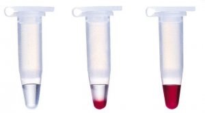 REDTaq� DNA Polymerase 