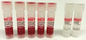 REDTaq� ReadyMix� PCR Reaction Mix 