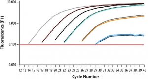 SYBR� Green Quantitative RT-qPCR Kit QR0100-1KT