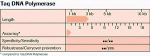 Taq DNA Polymerase, dNTPack 