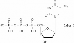 Thymidine 5-triphosphate sodium salt solution 