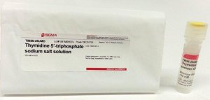 Thymidine 5-triphosphate sodium salt solution 