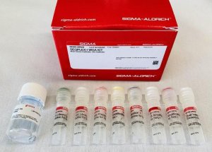SEQPLEX-I WGA Kit 