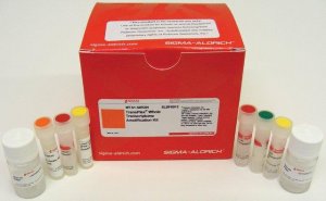 TransPlex� Whole Transcriptome Amplification Kit 