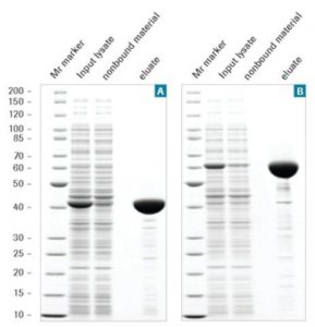 cOmplete� His-Tag Purification Column 