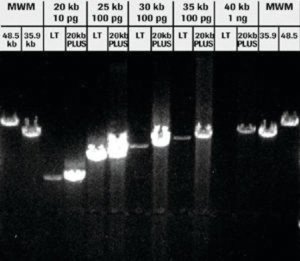 Expand� 20 kbPLUS PCR System, dNTPack 4743814001