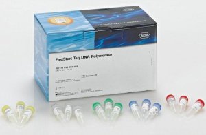FastStart� Taq DNA Polymerase, 5 U/l 