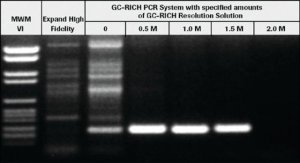 GC-RICH PCR System, dNTPack 4743784001