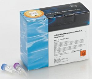 In Situ Cell Death Detection Kit, Fluorescein 11684795910