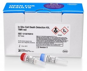 In Situ Cell Death Detection Kit, TMR red 12156792910