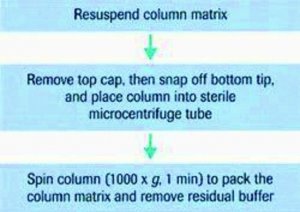 mini Quick Spin RNA Columns 11814427001