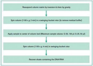 Quick Spin Columns for radiolabeled DNA purification 