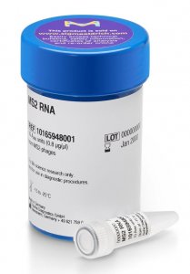 RNA, MS2 10165948001