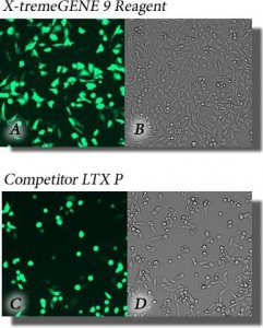 X-tremeGENE� 9 DNA Transfection Reagent 