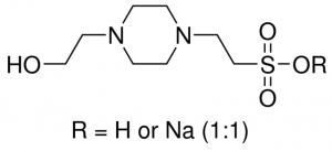 HEPES, Hemisodium Salt 
