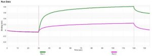Anti-CD24 Antibody, clone 3N22 ZooMAb� Rabbit Monoclonal 