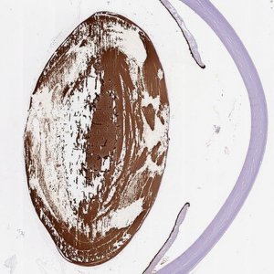 Anti-CRYBA4 antibody produced in rabbit 