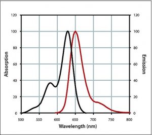 Anti-Chicken IgY (H+L), CF� 633 antibody produced in rabbit 