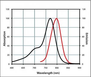 Anti-Guinea Pig IgG (H+L), CF� 770 antibody produced in rabbit 