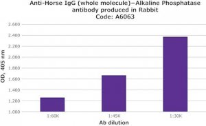 Anti-Horse IgG (whole molecule)Alkaline Phosphatase antibody produced in rabbit 