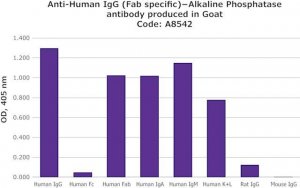 Anti-Human IgG (Fab specific)Alkaline Phosphatase antibody produced in goat 