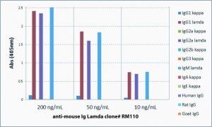 Anti-Mouse Ig Lamda Light Chain-Biotin antibody, Rabbit monoclonal SAB5600158-50UG
